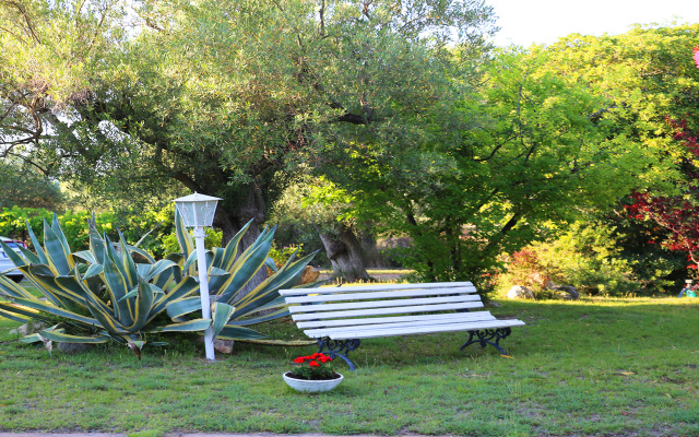 Rika's Seaside Nikiti Villa