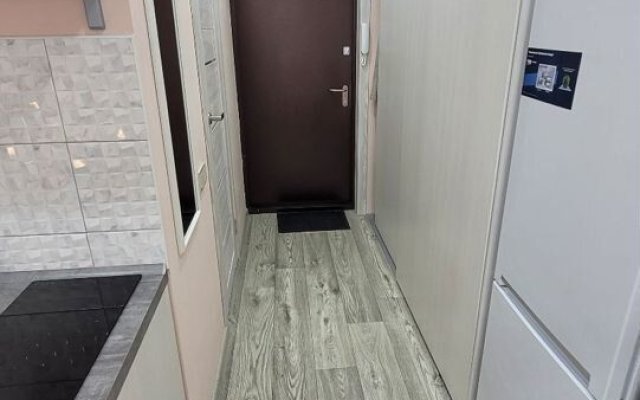 Студия СИБИРЬ HOUSE новой дом в центре