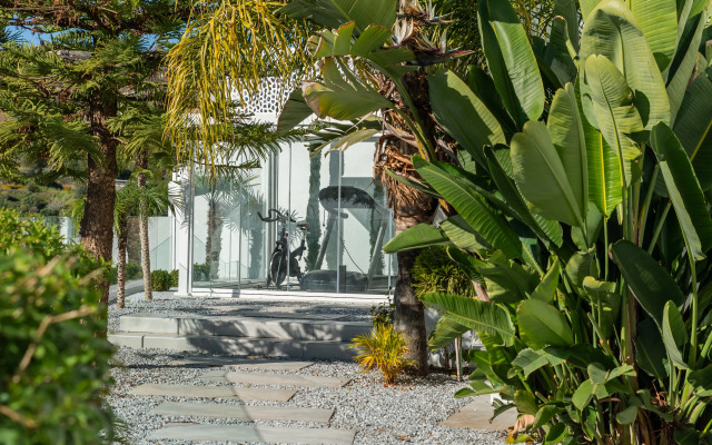All About Villa Estrella de Oro