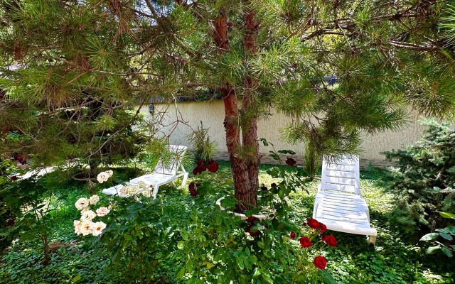 Частный дом со всеми условиями на берегу моря