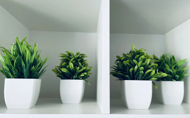 Квартира Евродвушка на Полевой у трассы М4 Дон