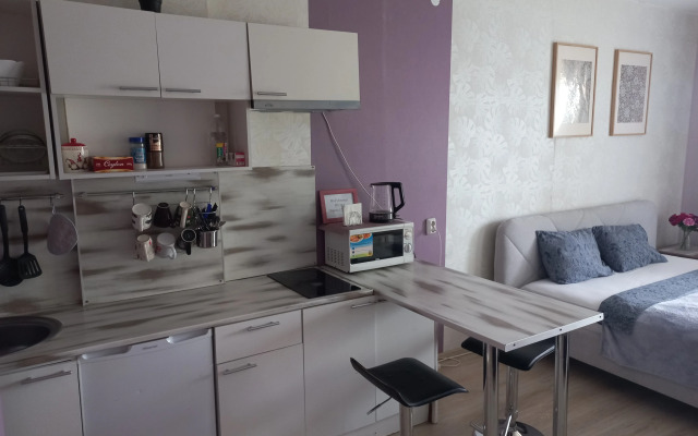 Квартира Апартаменты KOMFORT HOUSE Революции 54