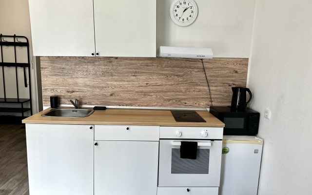 Evo Park Tsentr Goroda Flat