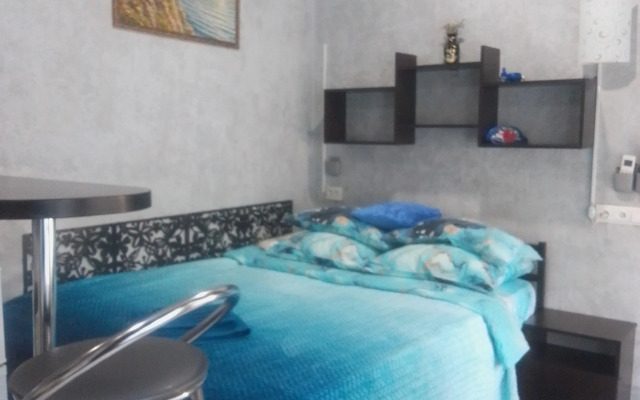 Kompaktnaya Ministudiya Vozle Vokzalov Flat