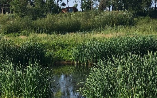 Baza Otdykha Park Otdykha lesnoye Ozero