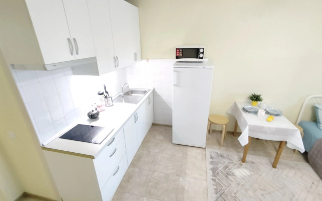 Semeynye S Balkonom Lesnaya Apartments
