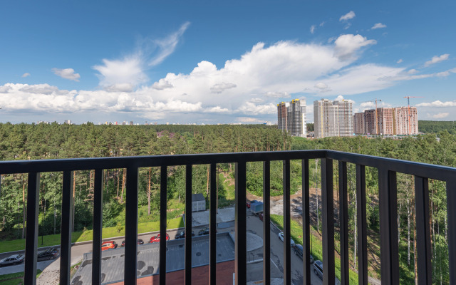 Апартаменты Dayker City Apartments на Краснолесье