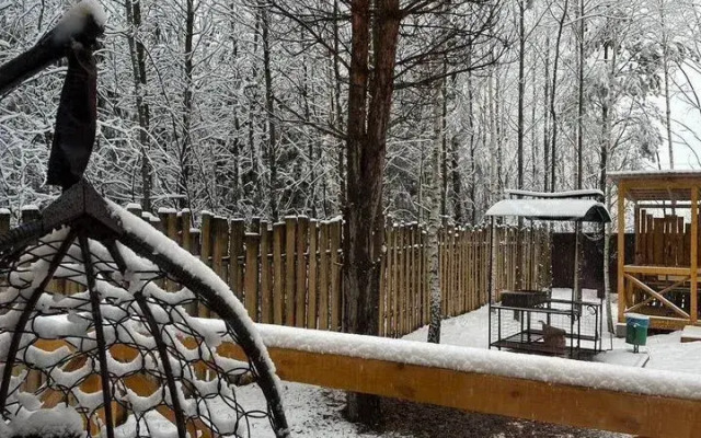 Частный Дом Березовый в Сосновом Лесу