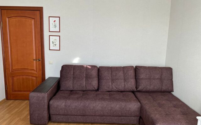 V Tsentre Goroda, Ryadom S Aeroportom Sheremetyevo Flat
