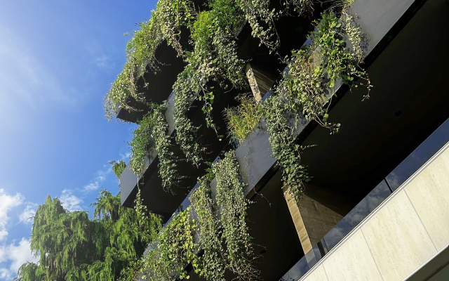 Bamboo Garden Hotel
