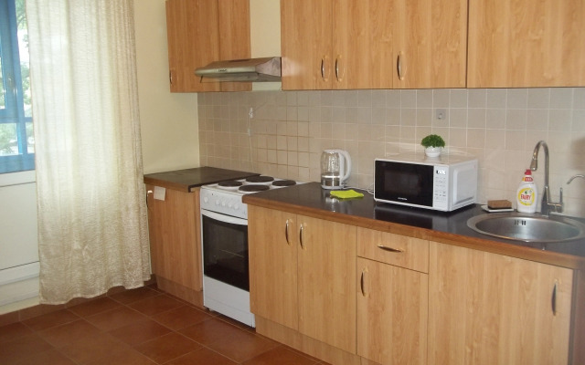 Bolshaya V Tsentre Goroda Flat