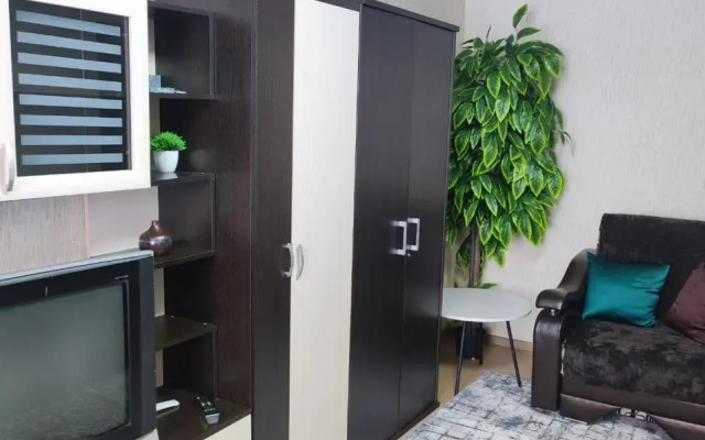 Dvukhkomnatnaya Kvartira Ul Starykh Bolshevikov Flat