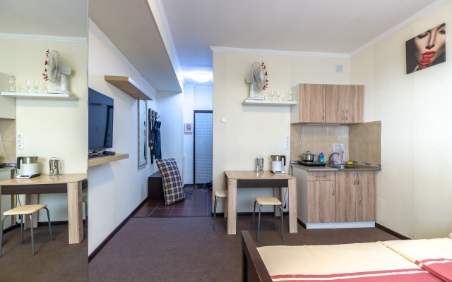 Istoman Dlya Dvoikh S Vidom Na Gorod Apartments