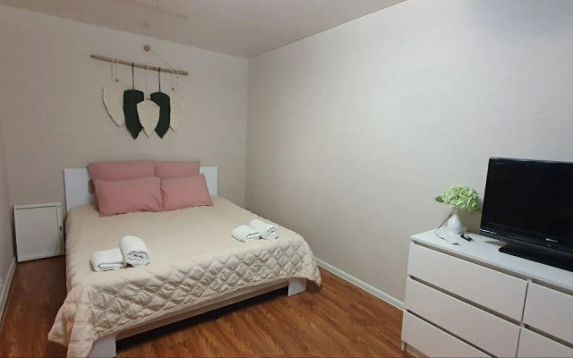 Квартира на улице Гагарина 13/61