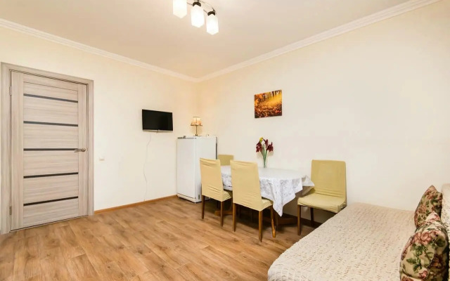 V Tsentre Goroda Flat