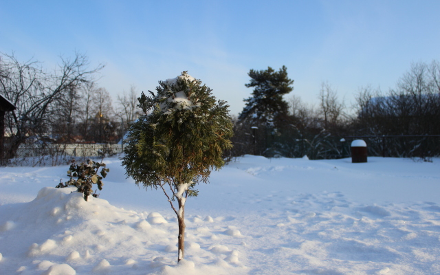 Гостевой дом Красноармейская 40