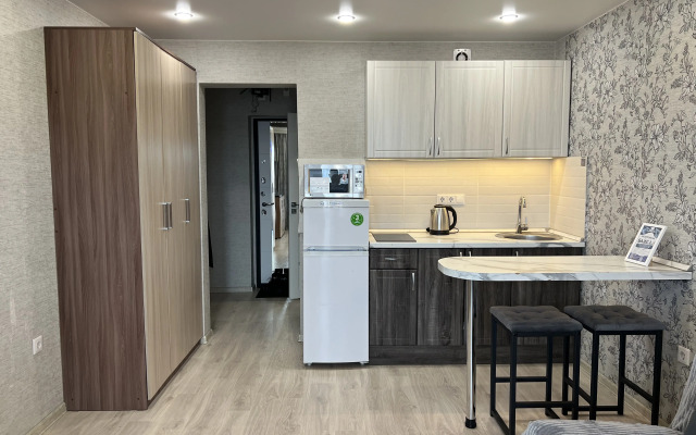 Uyutnaya Studiya Vozle Zhd Vokzala Flat