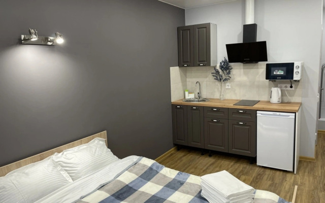 Апартаменты Трилиссера 22 (1)