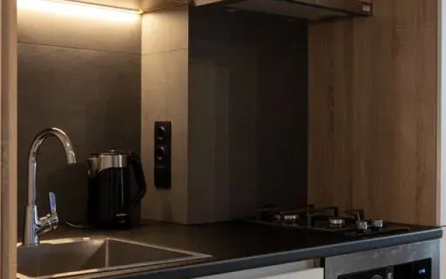 Eksklyuzivnye Dvukhurovneviye v Tsentre Goroda Apartments