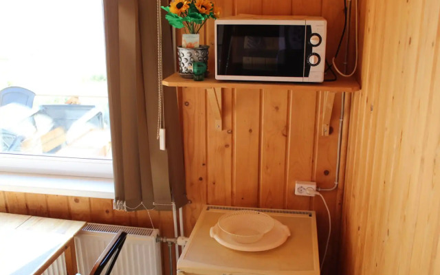 Piknikki Gromovskoye selskoye poselenie Apartments 2