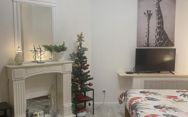 Апартаменты Квартира в центре с отдельным входом