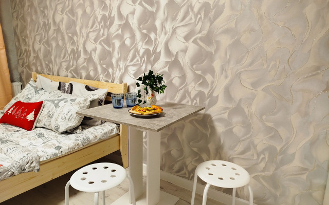 Vidovaya Studiya Aeroport Tolmachevo Apartments