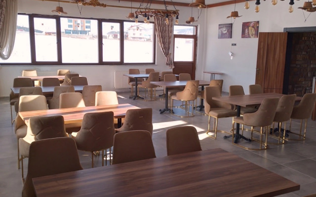 Отель Metinoğlu Pansiyon (Chalet Khione) Sarıkamış