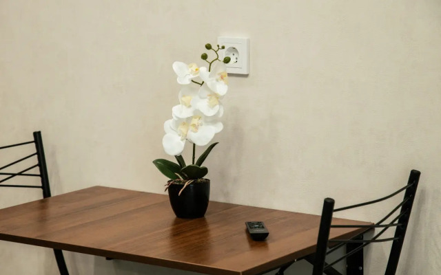 Апартаменты Уютные квартиры в Ново Ленино (2)