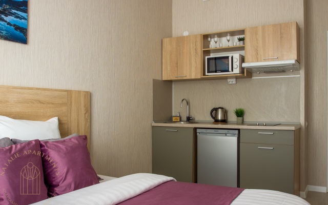 Апартаменты Студия Natalie Apartments Пулковское шоссе 14с6