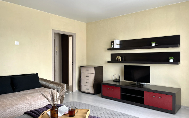 Квартира на Светлогорском