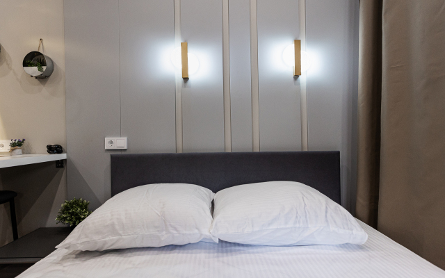 Апартаменты Букинист 14/1