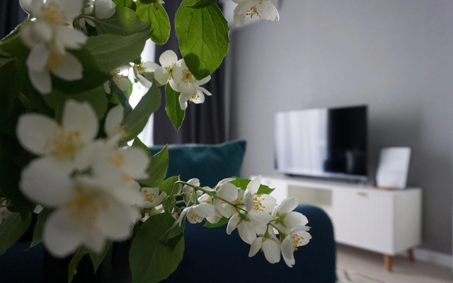 Premium Klassa V Novom Zhk Flat