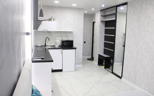 Uyutnaya Studiya V Tsentre Flat