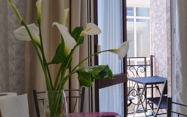 Sirius Vozle Morya Flat