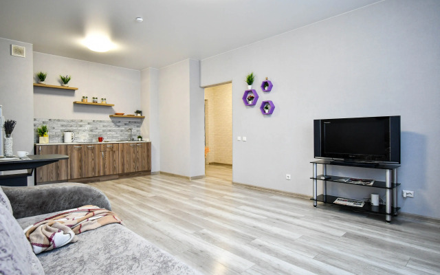 Квартира Евродвушка Подзолкова 21 Центральный Район