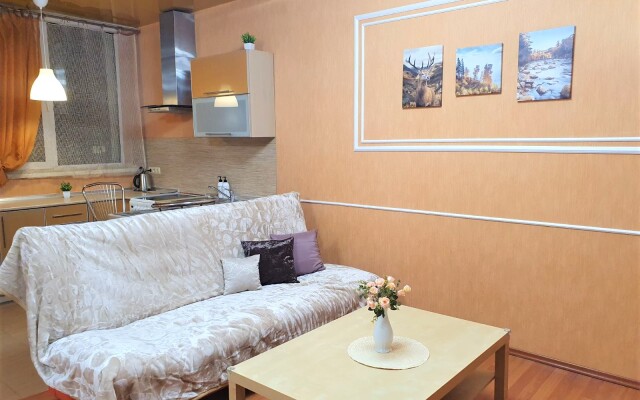 Meditsinskaya 1А Flat