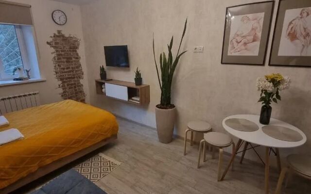 Na Bulvare Radischeva 29 Flat