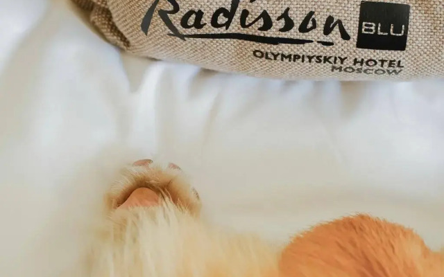 Radisson Blu Olympiyskiy Hotel, Moscow