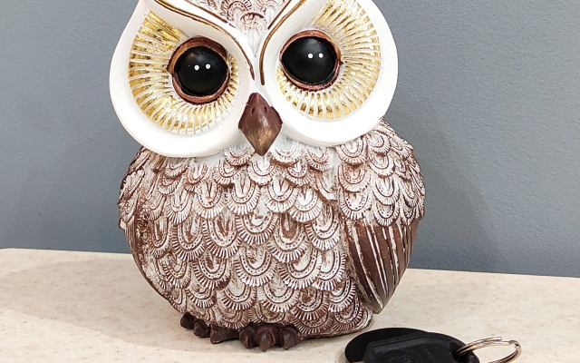 Квартира Евродвушка класса Люкс в центре города