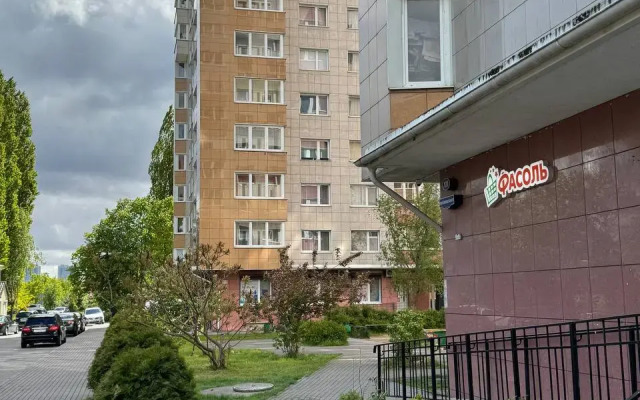 V Tsentralnom Rayone Flat