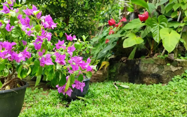 Villa 51 - Ground Floor Villa