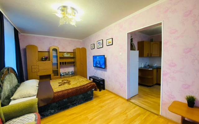 Апартаменты с 1 комнатой Делюкс (Квартира51)