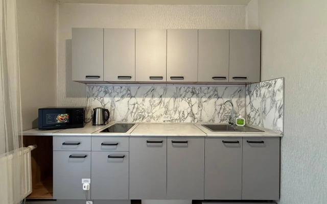 Ryadom s novym Avtovokzalom Flat