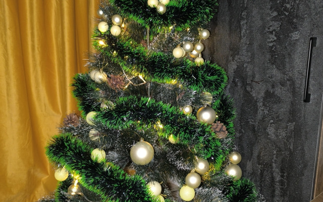 Апартаменты двухкомнатные Оливия Люкс на Плевицкой