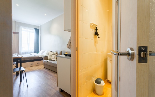 Apartment Obvodny 55