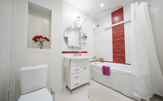Uyutnye Mogilev Apartments