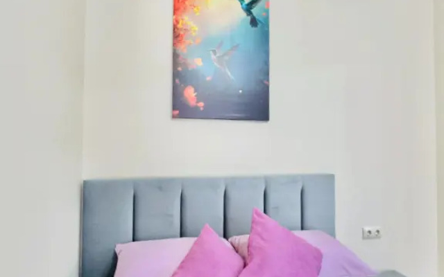 Zhk Sapfir Apartament 5