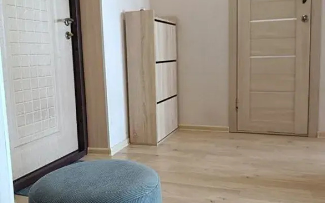 1-Komnatnaya Na Ulitse 1-Ya Perevoznaya Flat