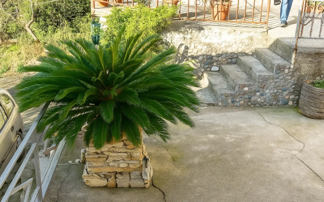 Sauchi Guest House