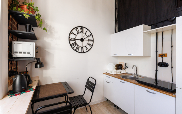 Turgenevskaya Loft Flat